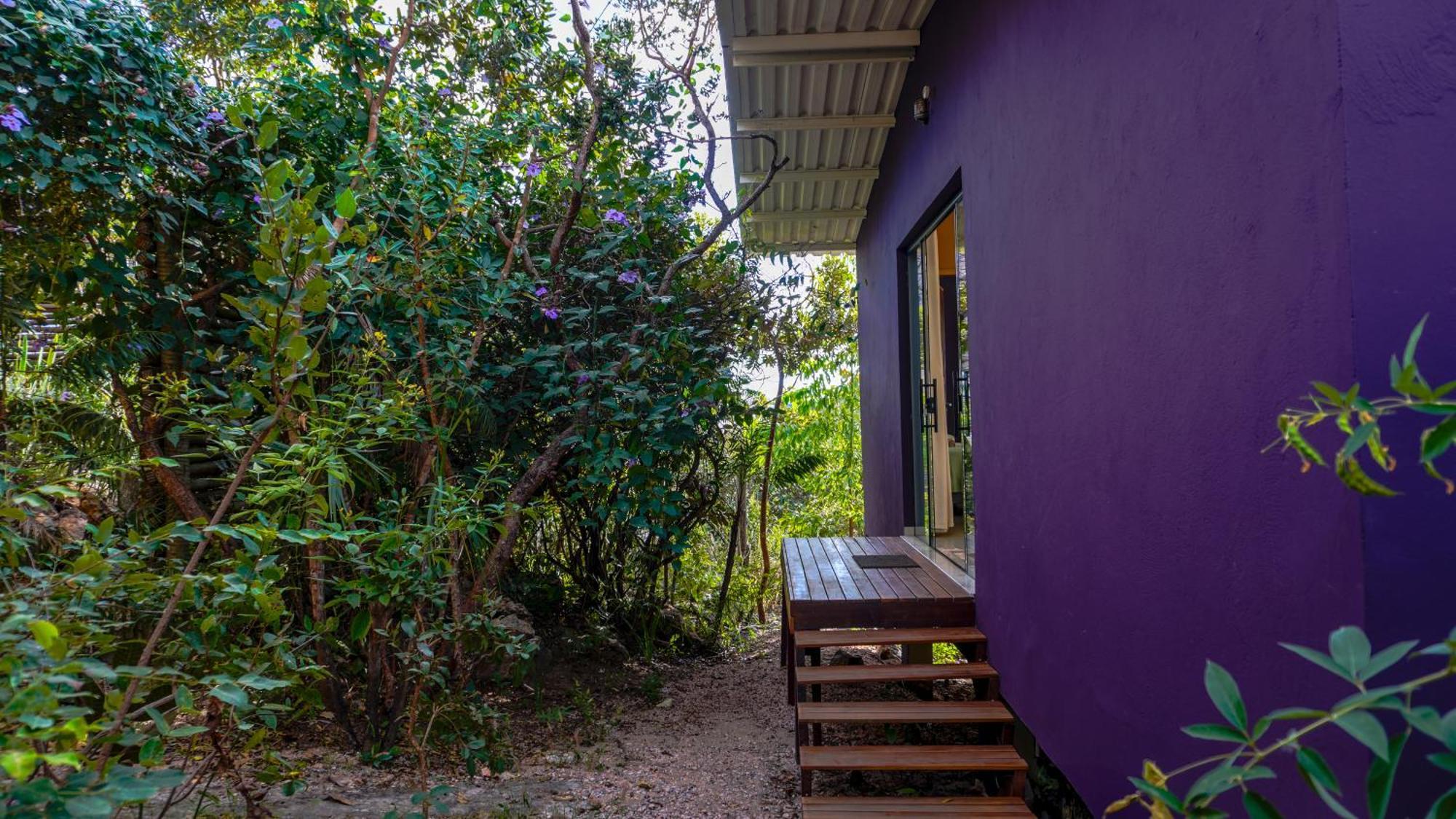 Vila Flor - Chapada Dos Veadeiros Alto Paraíso de Goiás Exteriör bild