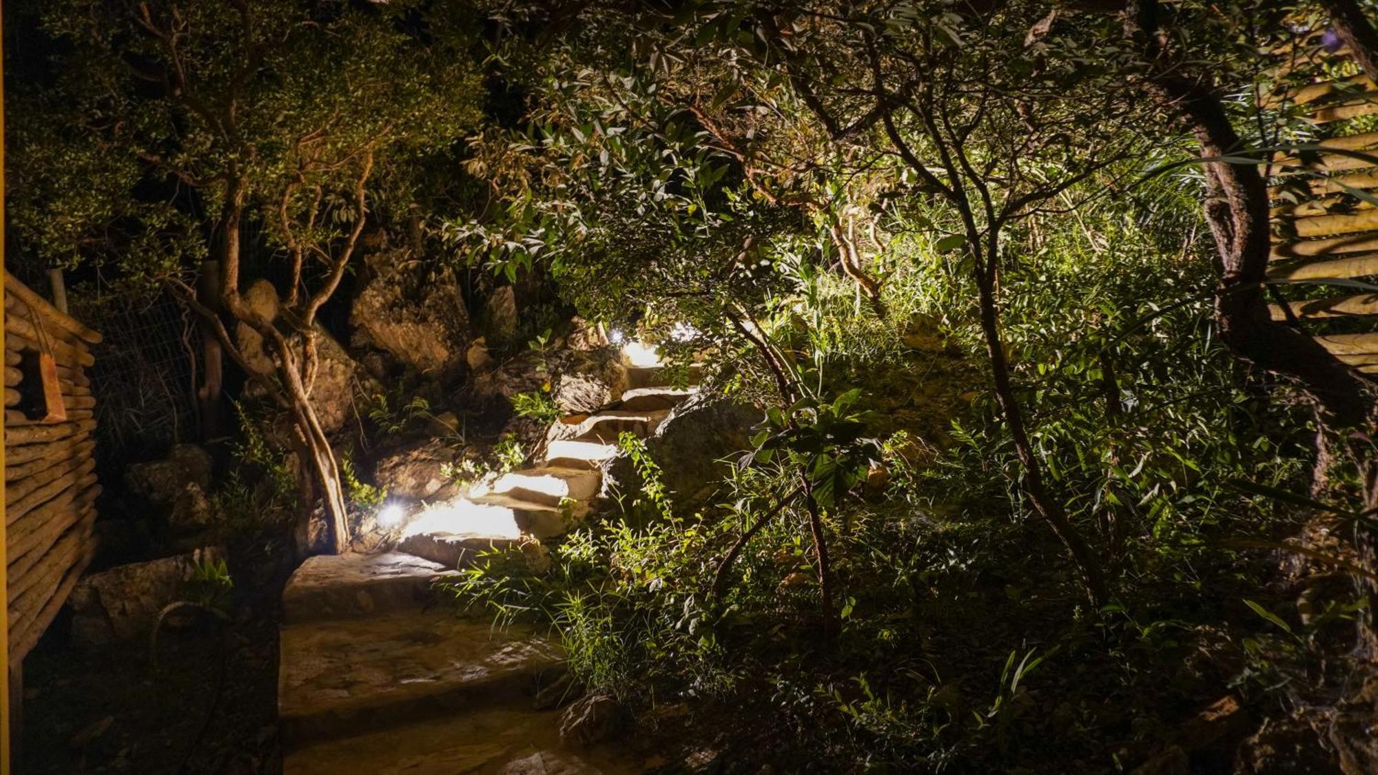 Vila Flor - Chapada Dos Veadeiros Alto Paraíso de Goiás Exteriör bild