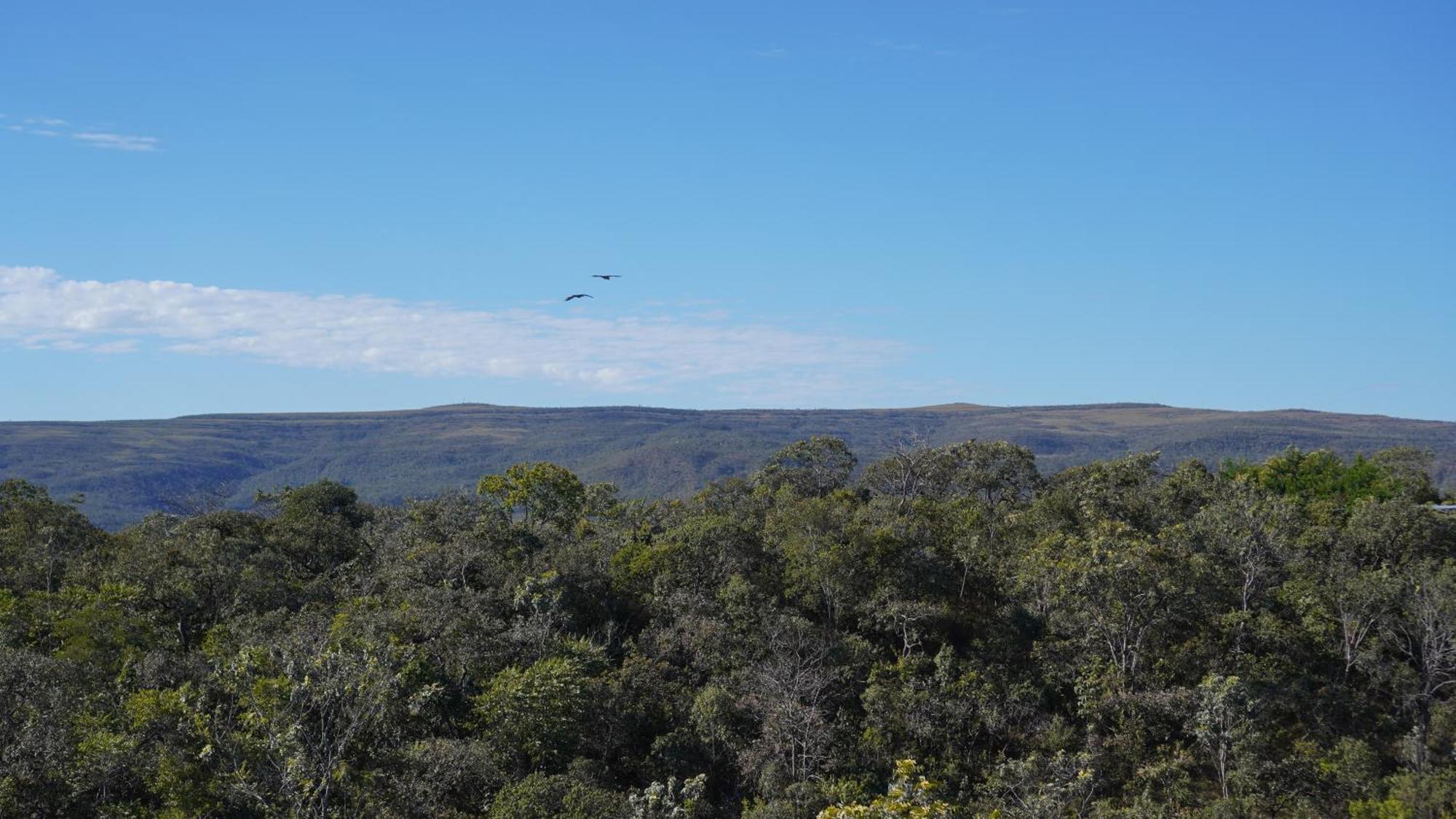 Vila Flor - Chapada Dos Veadeiros Alto Paraíso de Goiás Exteriör bild